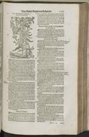 Seite 1289