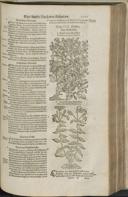 Seite 1293