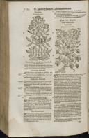 Seite 1296