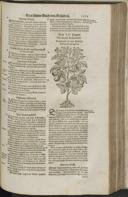 Seite 1297