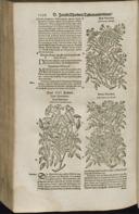 Seite 1298
