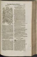 Seite 1299