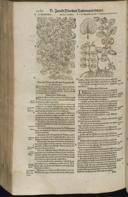 Seite 1302