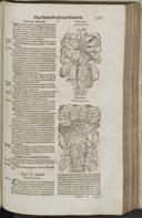 Seite 1329