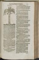 Seite 1355