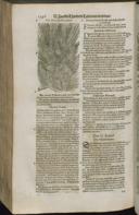 Seite 1368