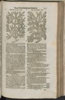 Seite 1369