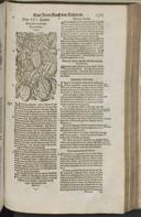 Seite 1387