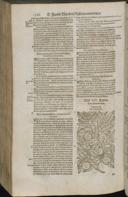 Seite 1388