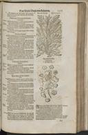 Seite 1397