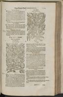 Seite 1401