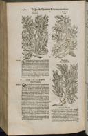 Seite 1402