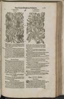 Seite 1407