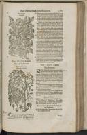 Seite 1409