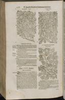 Seite 1410