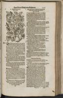 Seite 1413