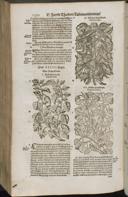 Seite 1414