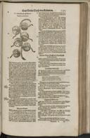 Seite 1415