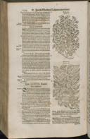 Seite 1416