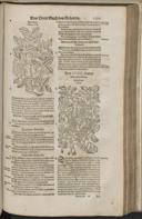 Seite 1417