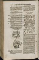 Seite 1418