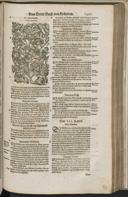 Seite 1419