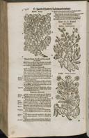 Seite 1420