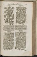 Seite 1421