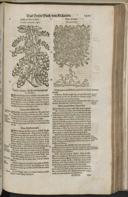 Seite 1423