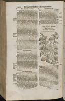Seite 1424