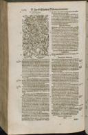 Seite 1426