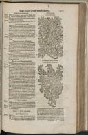 Seite 1427