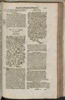 Seite 1429