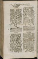Seite 1430