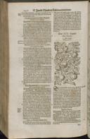 Seite 1434