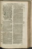 Seite 1435