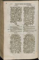 Seite 1438