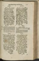 Seite 1439