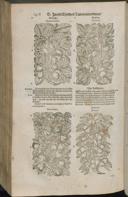 Seite 1440