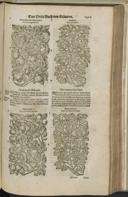 Page 1447