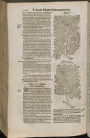 Page 1448
