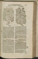 Page 1449