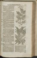 Page 1451