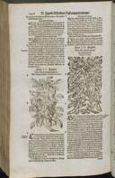 Page 1452