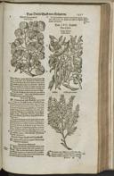 Page 1453
