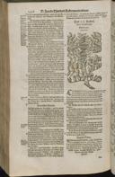 Seite 1458