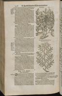 Seite 1460
