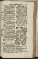 Seite 1461