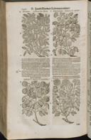 Seite 1462