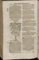 Seite 1464